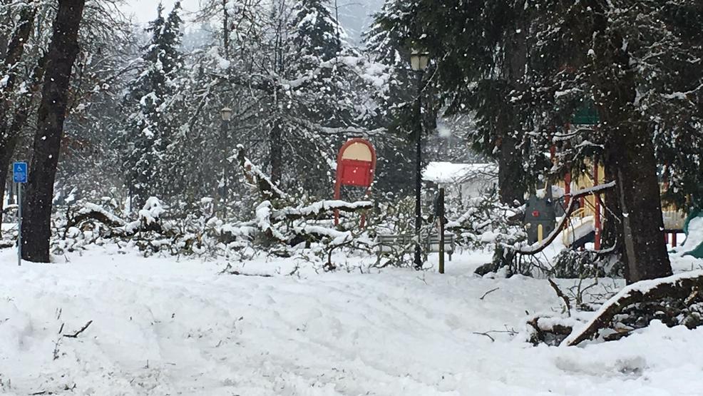 Cottage Grove Declares A Local Emergency Officials Worried About