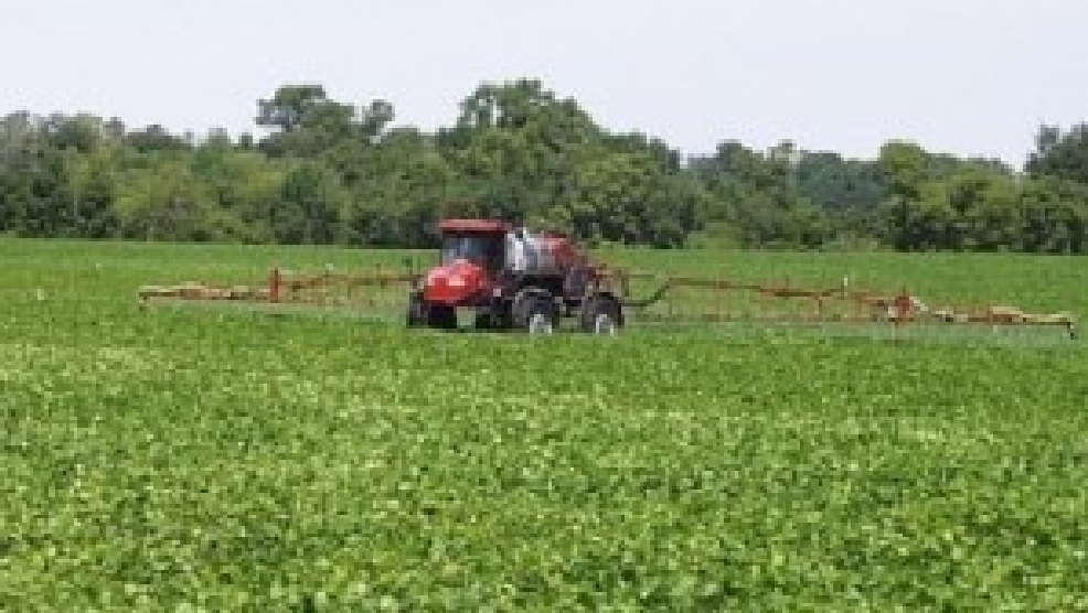 USDA says Arkansas crops to reach record peracre yields KATV