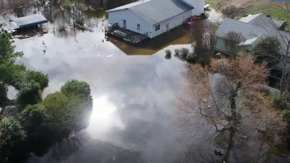 E Coli Filled Flood Water On Hunter Rd Possibly Caused By