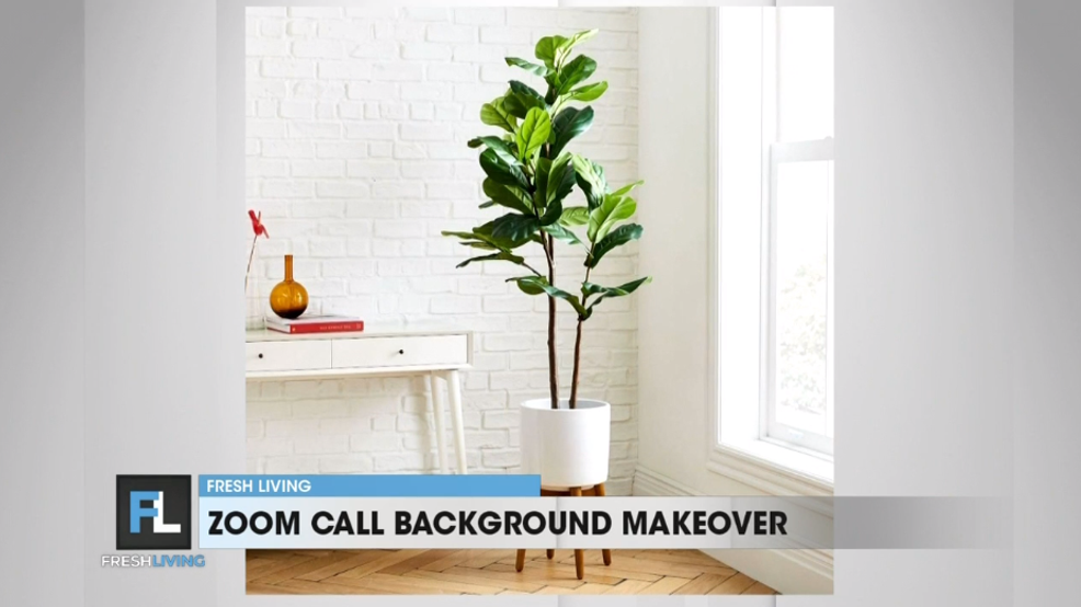 Zoom call background from West Elm KUTV
