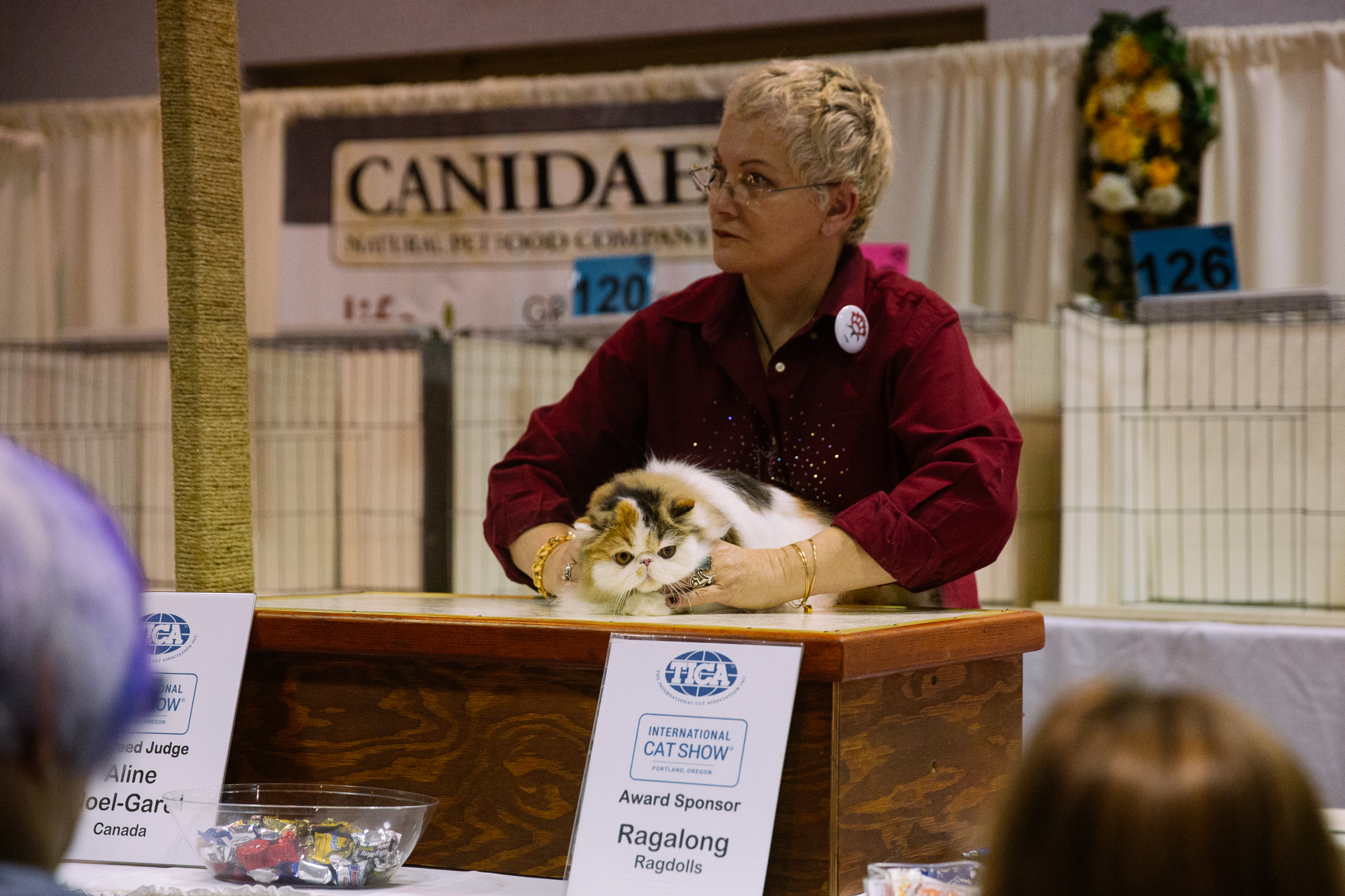 The International Cat Show brings furry feline faces to the northwest