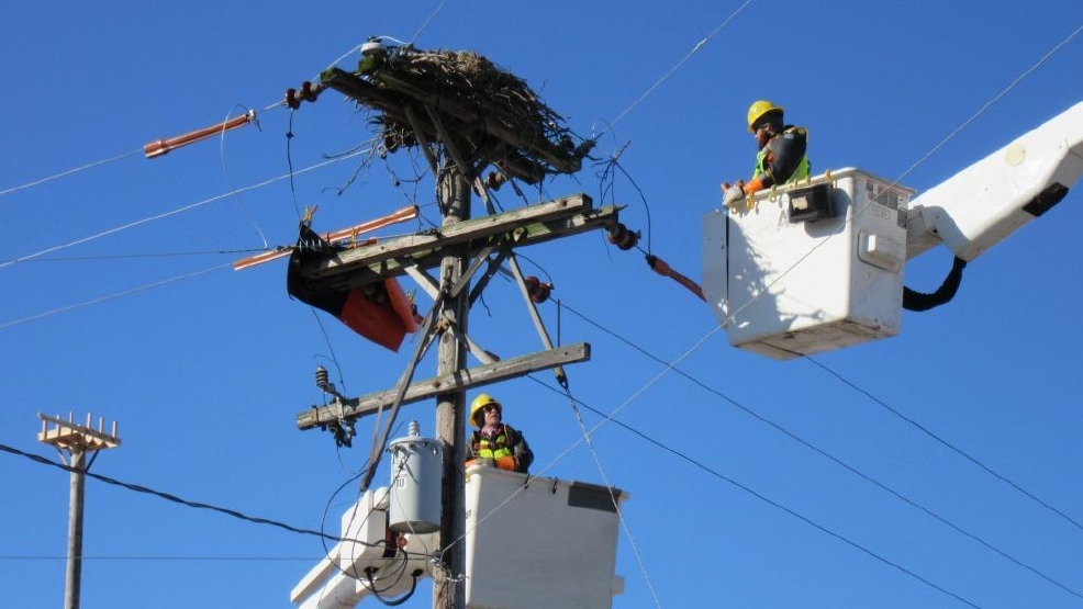 how to build an osprey platform