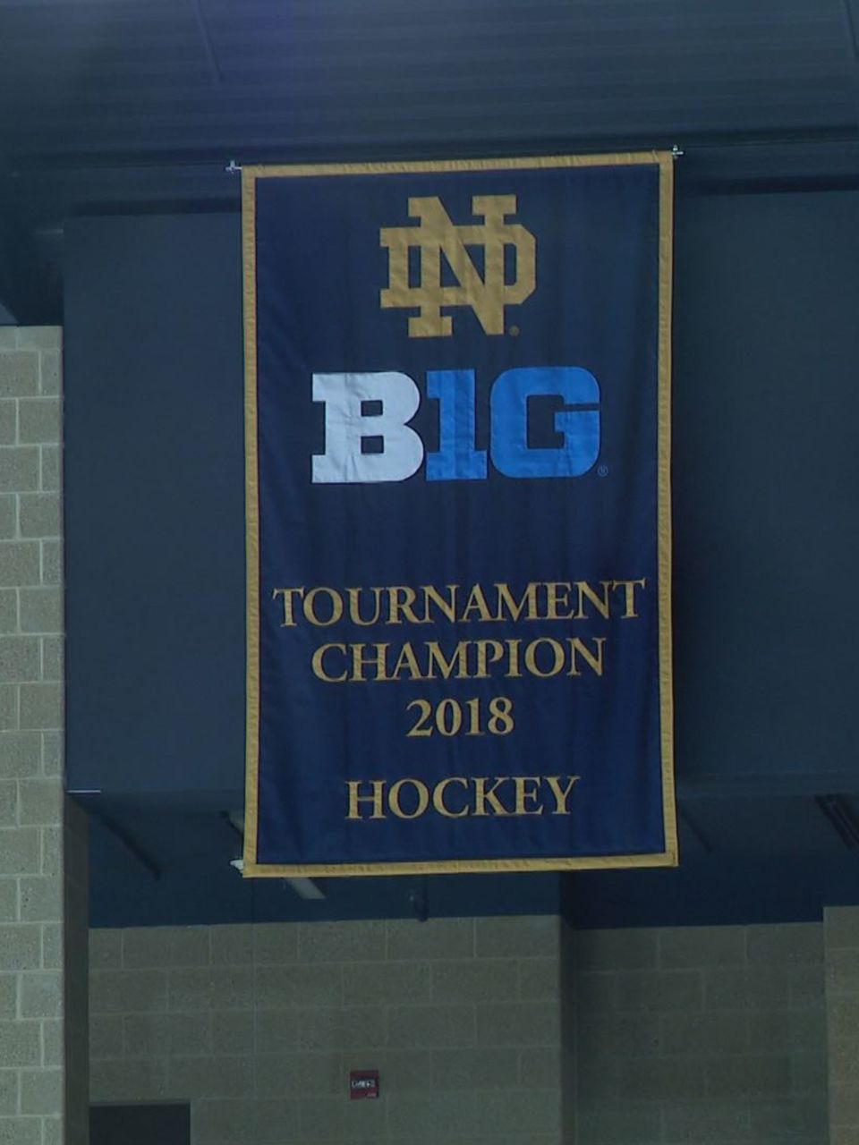 big 10 hockey championship