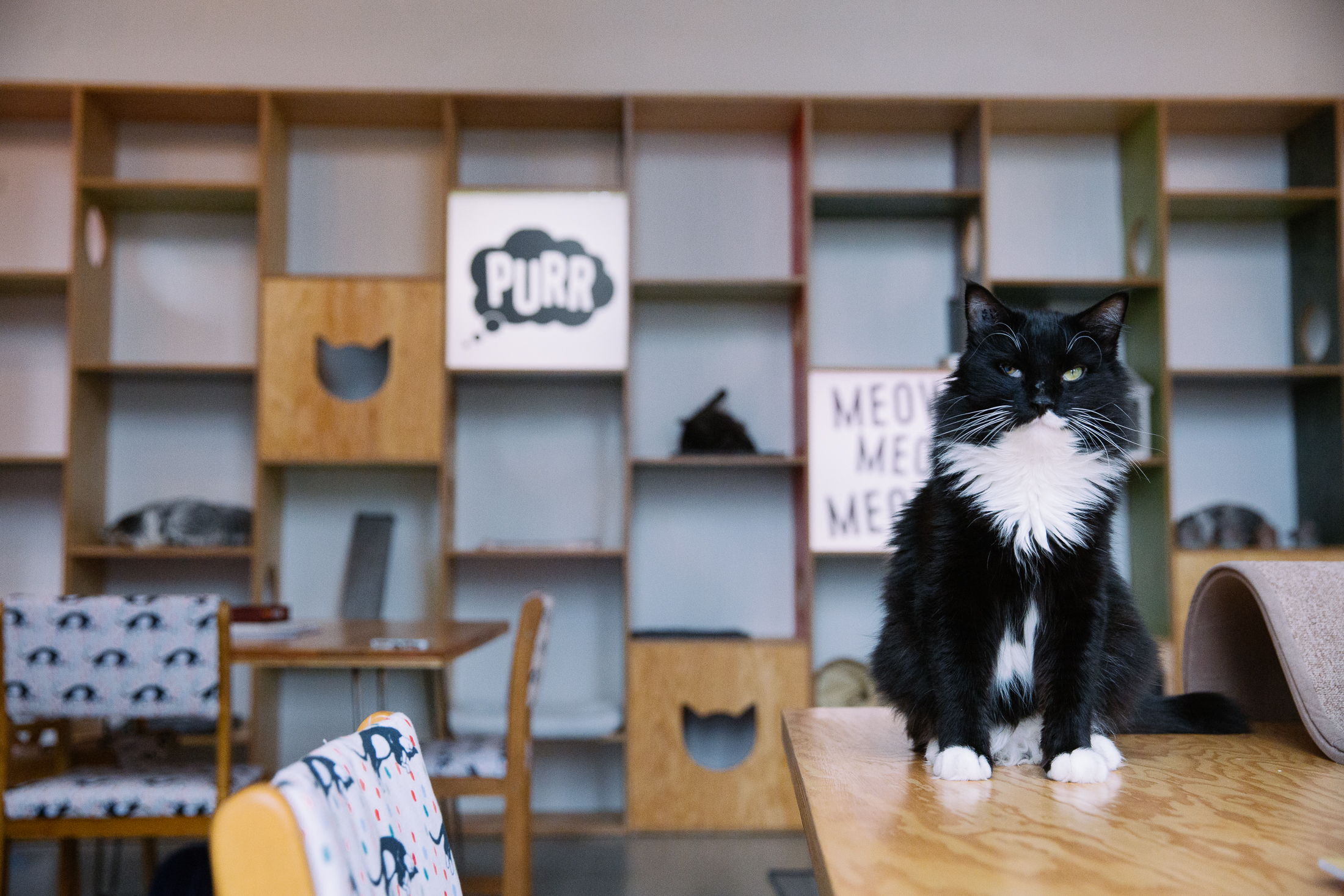 36 hours in Vancouver BC (mostly eating) Seattle Refined