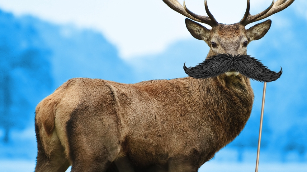 These 10 government agencies are defying Trump's gag orders with 'rogue' Twitter accounts