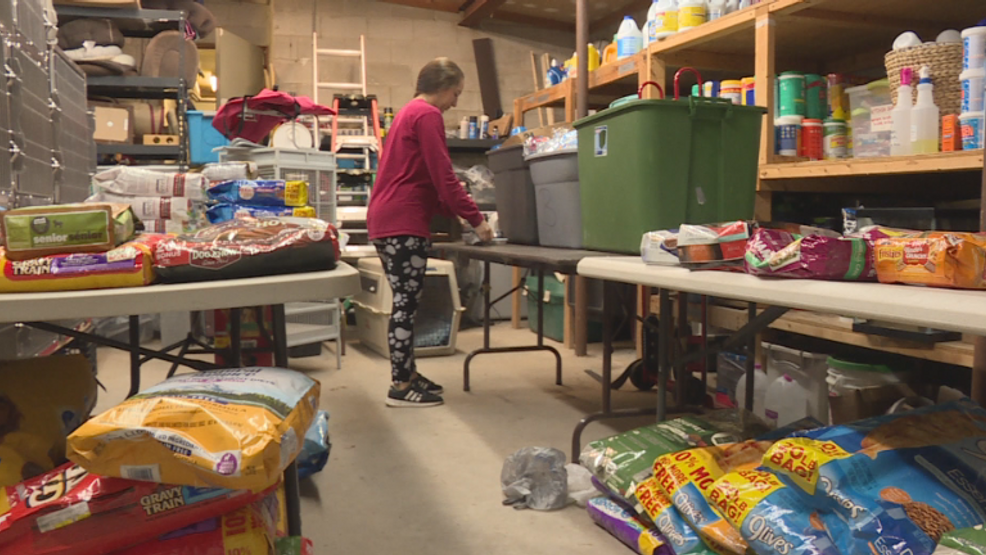 Cambria County humane society opens emergency pet food pantry WJAC