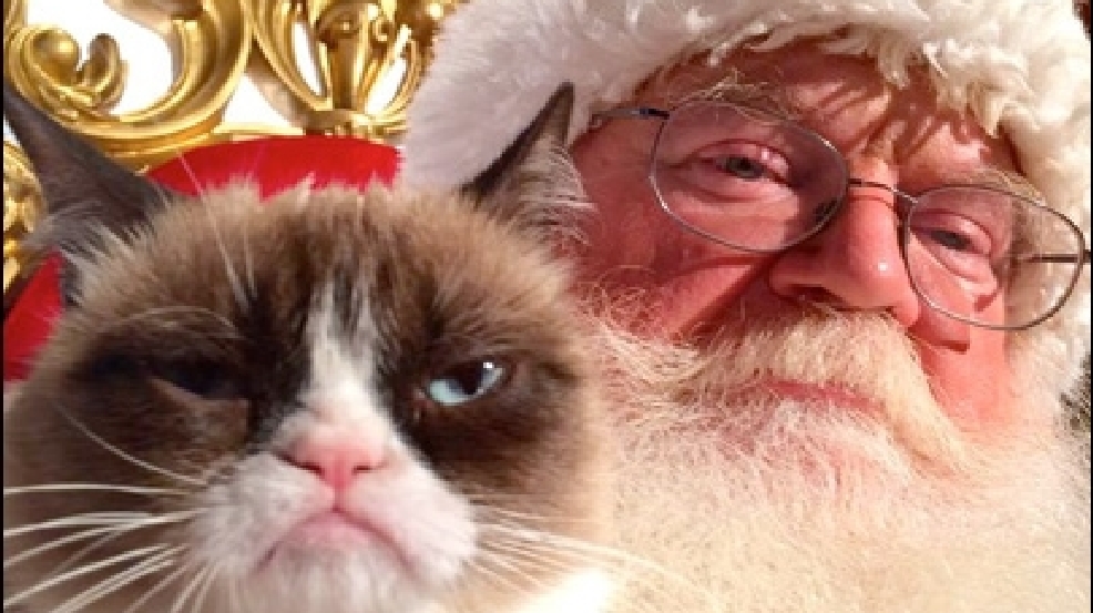 131213_grumpy_cat_christmas.jpg