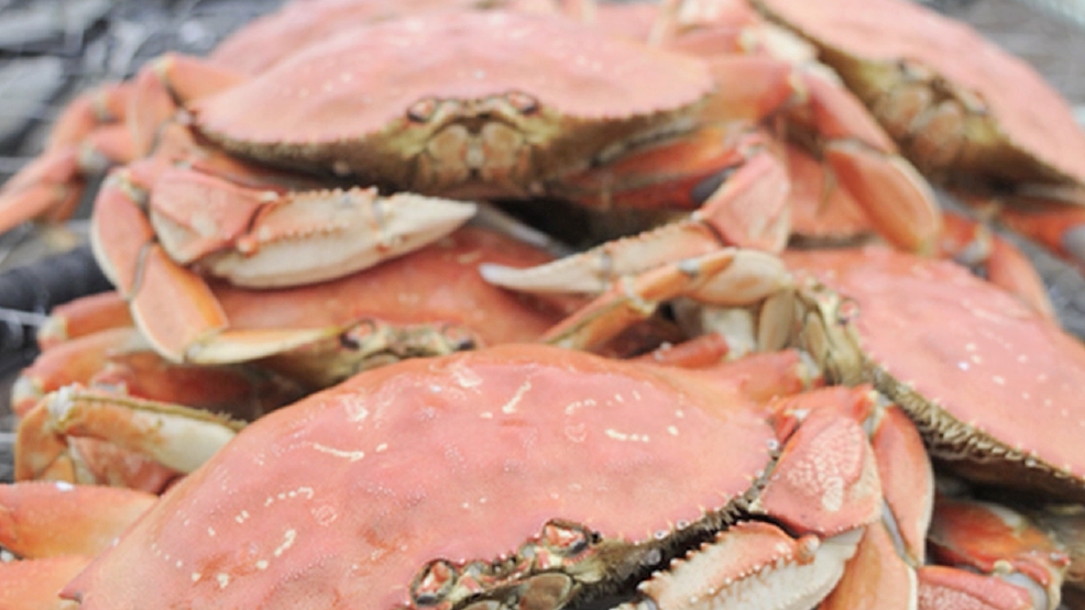 SEAFOOD.png
