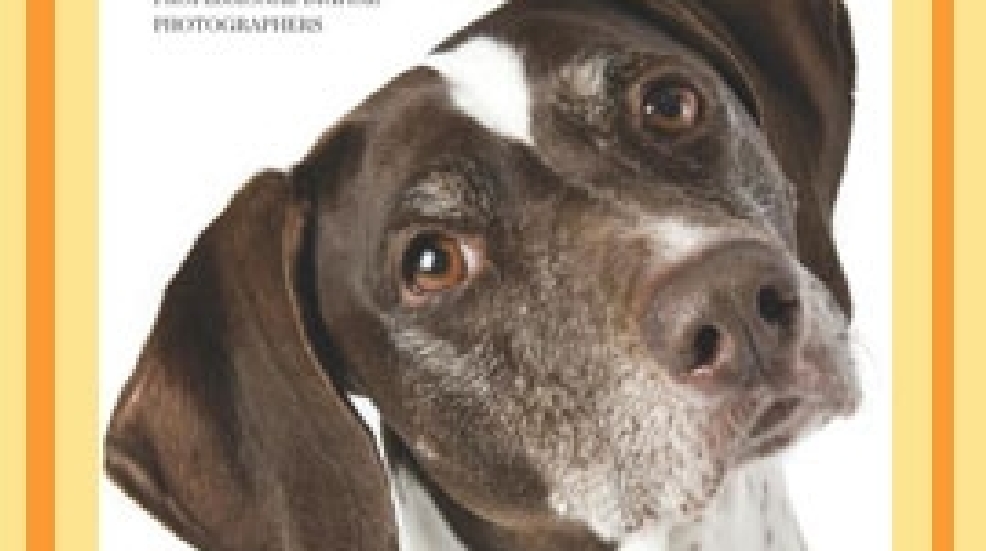 Photographing-Dogs.jpg