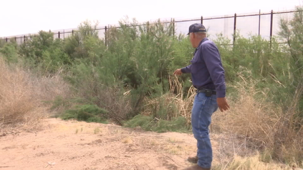 Fabens farmer says he already feels secure even if troops are deployed