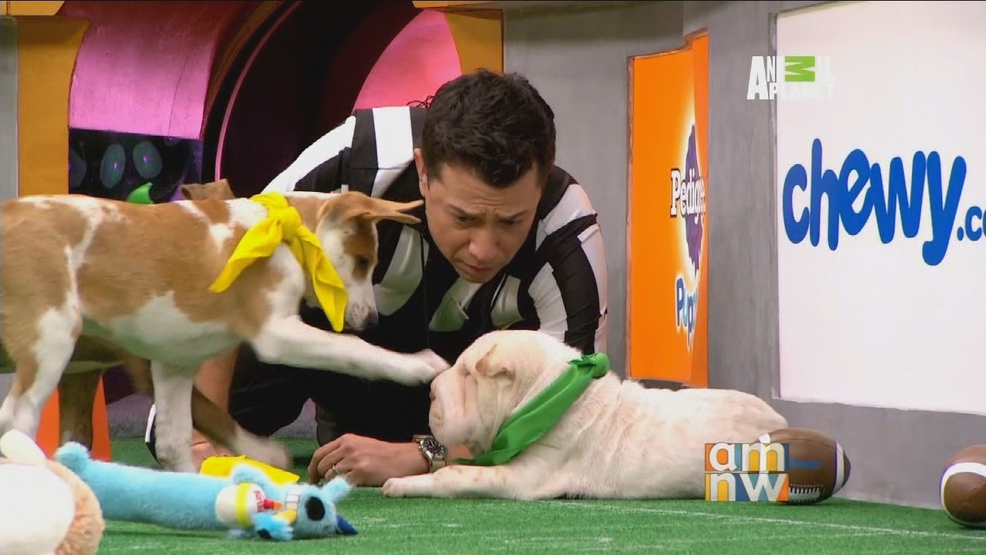 Puppy Bowl.png