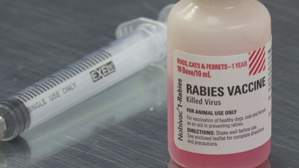 low-cost-rabies-shots-for-dogs-cats-and-ferrets-offered-in-mobile