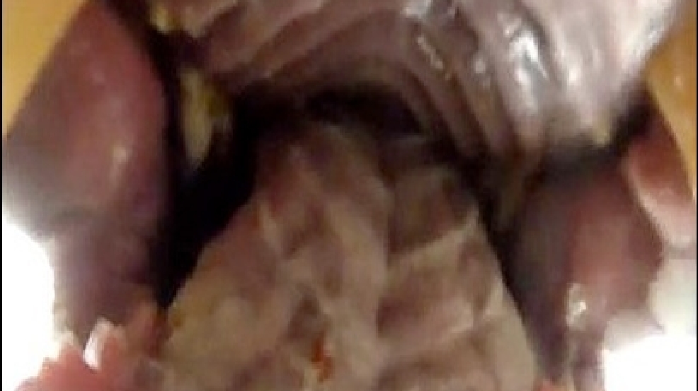 130517_bear_face.jpg