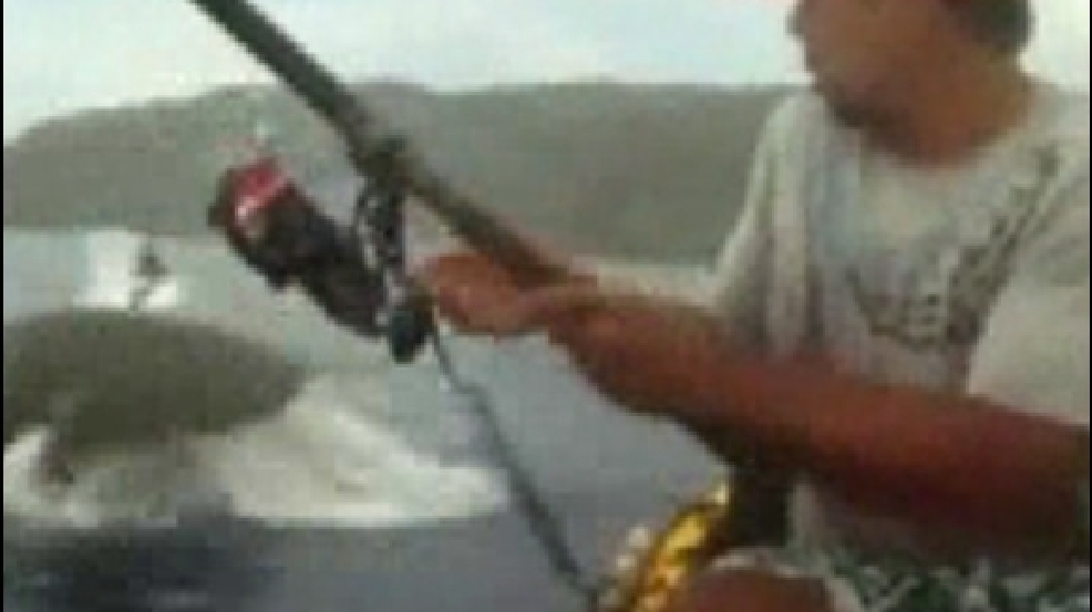 130411_shark_steals_fish_405.jpg