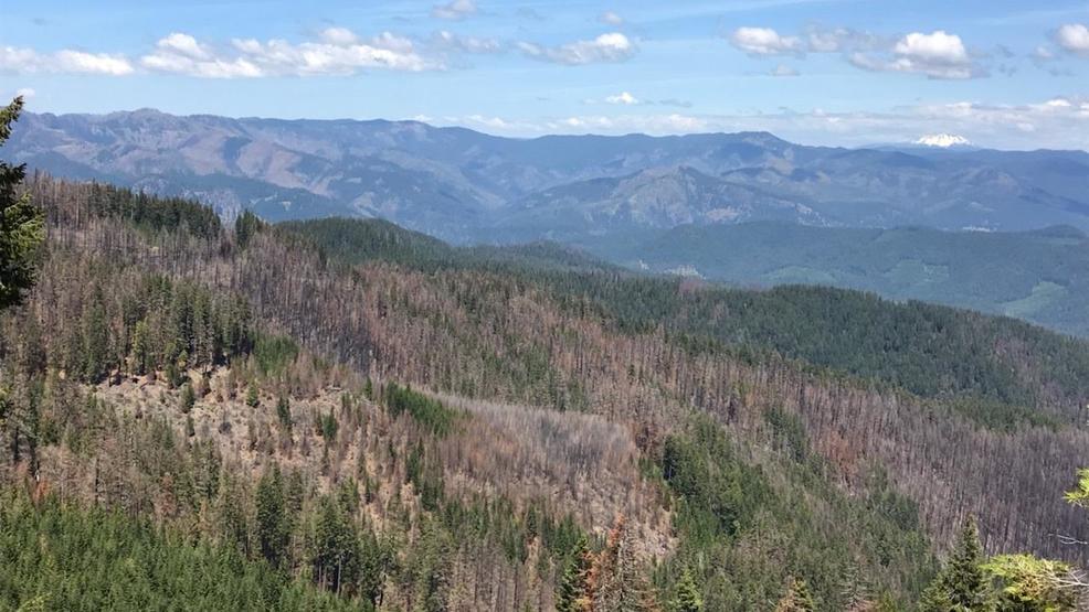 Trails leading into Twin Lakes reopened on Umpqua National Forest
