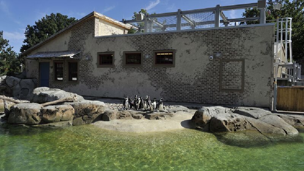 Baltimore’s Maryland Zoo, National Aquarium win top honors for exhibit