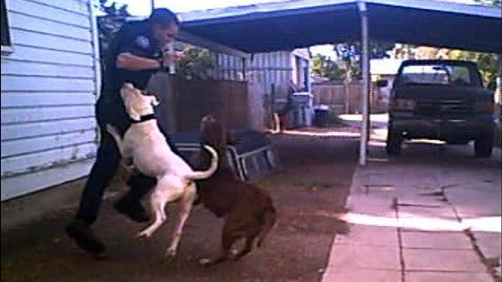 120926_nampa_dog_shot1.jpg_BIM.jpg