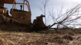 Drift spray forces Sumner Co. farm to destroy orchard