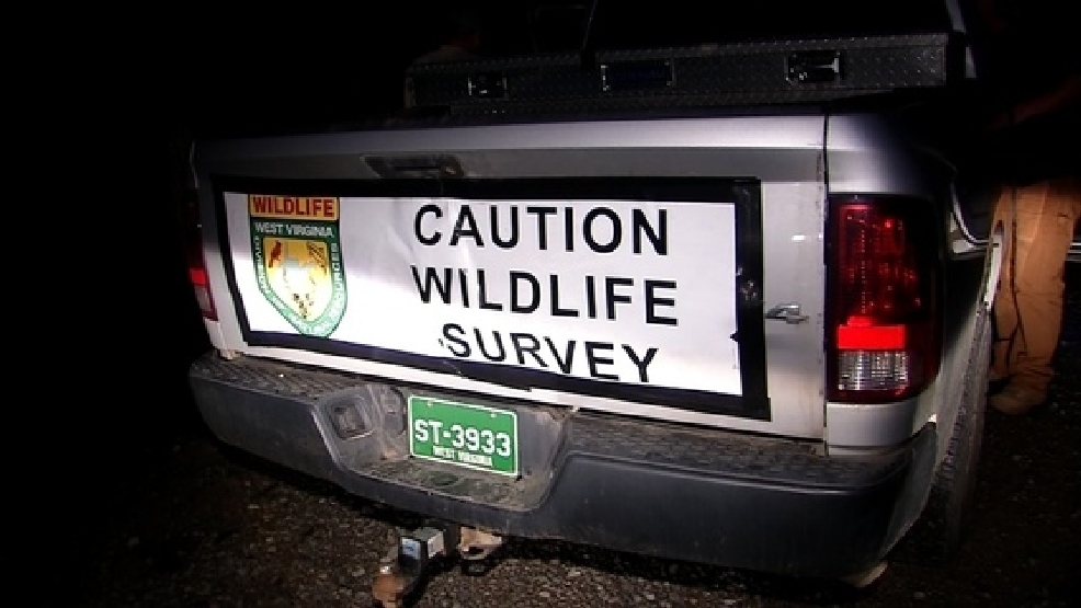 WVDNR Conducting Deer Spotlight Surveying WCHS