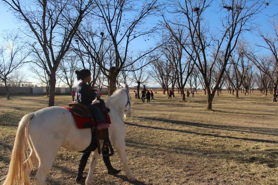Ramirez Pecan Farm 14th annual pecan festival KFOX